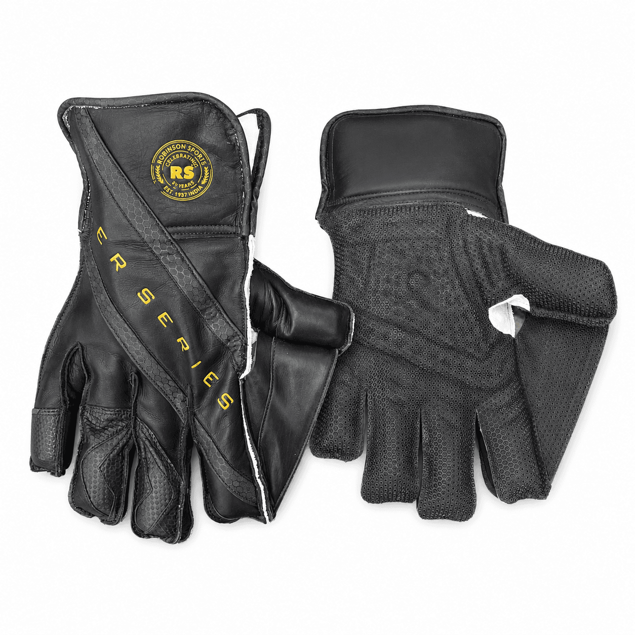 Robinson Sports Player Series Cricket Wicket Keeping Gloves