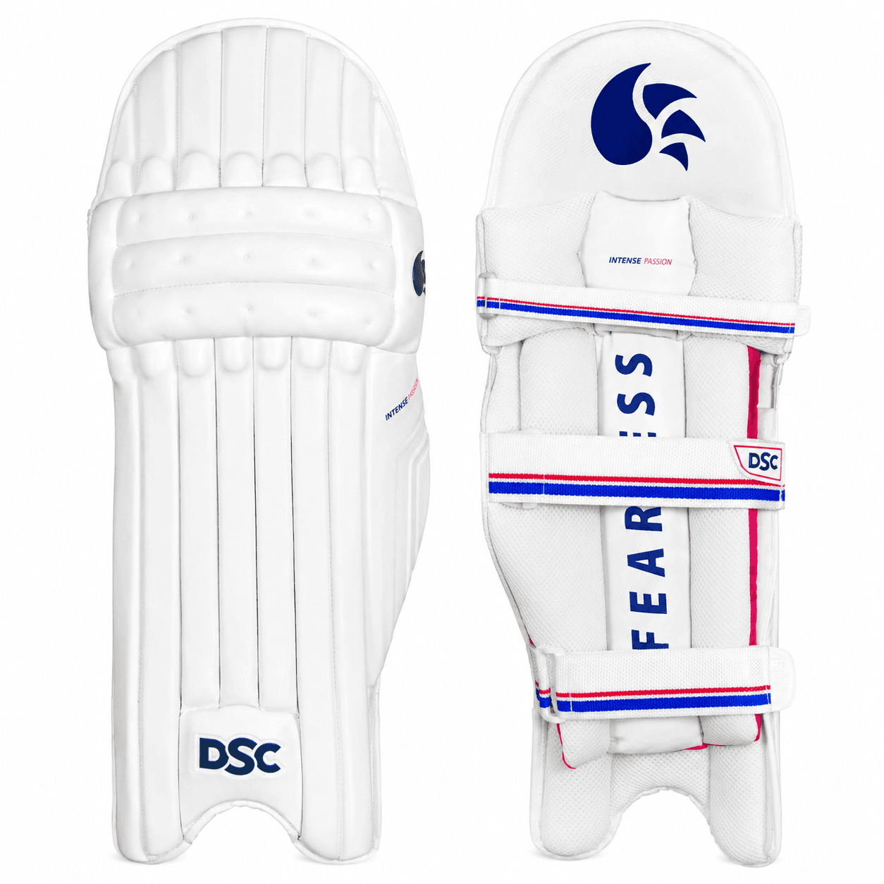 DSC Intense Passion Cricket Batting Pads