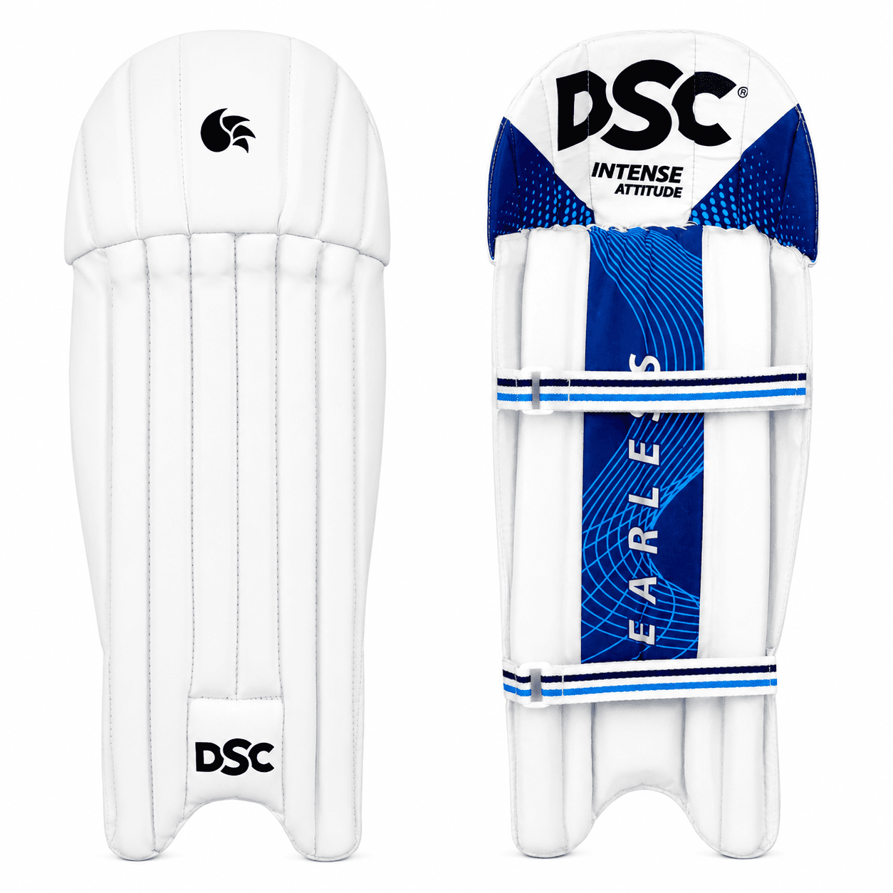 DSC Intense Attitude Cricket Wicket Keeping Pads