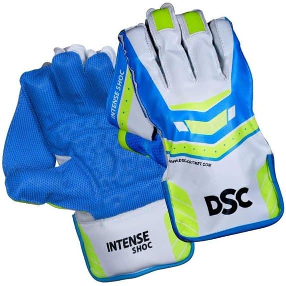 DSC Intense Shoc Cricket Wicket Keeping Gloves