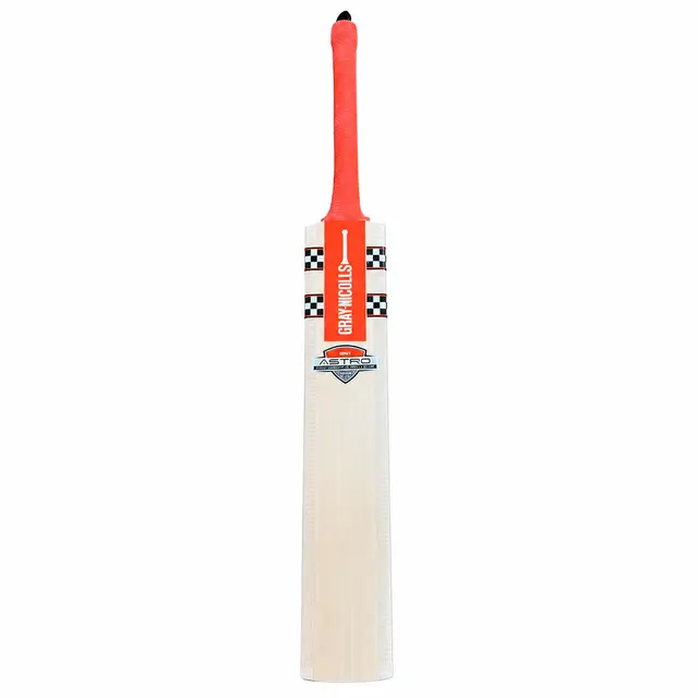 Gray Nicolls GN 1 Astro English Willow Junior Cricket Bat