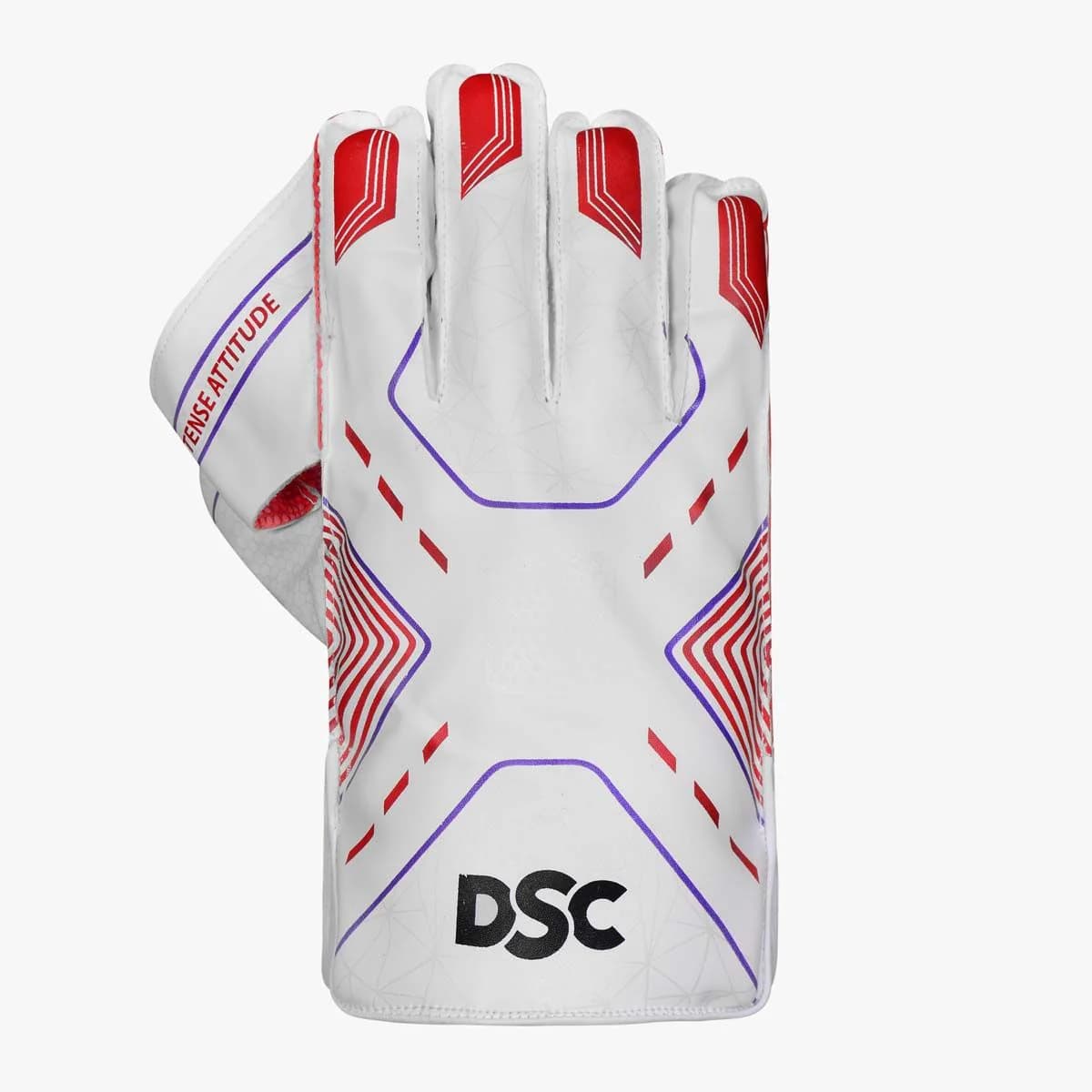 DSC Intense Attitude Cricket Wicket Keeping Gloves