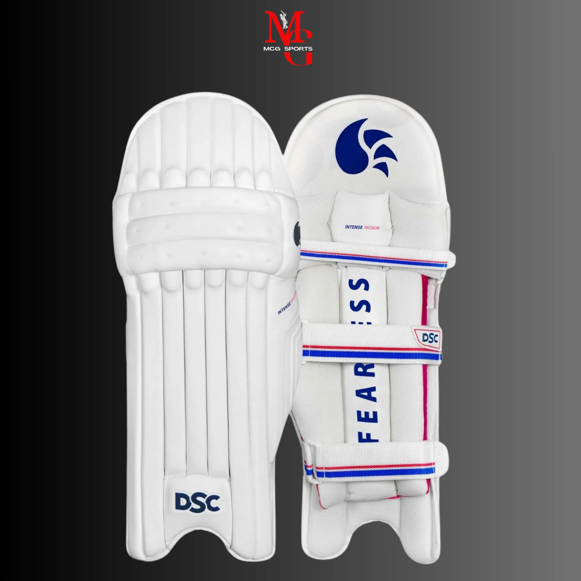 DSC Intense Passion Cricket Batting Pads